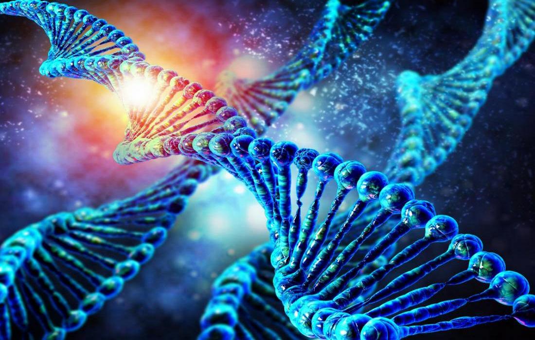 DNA Multidimensionale