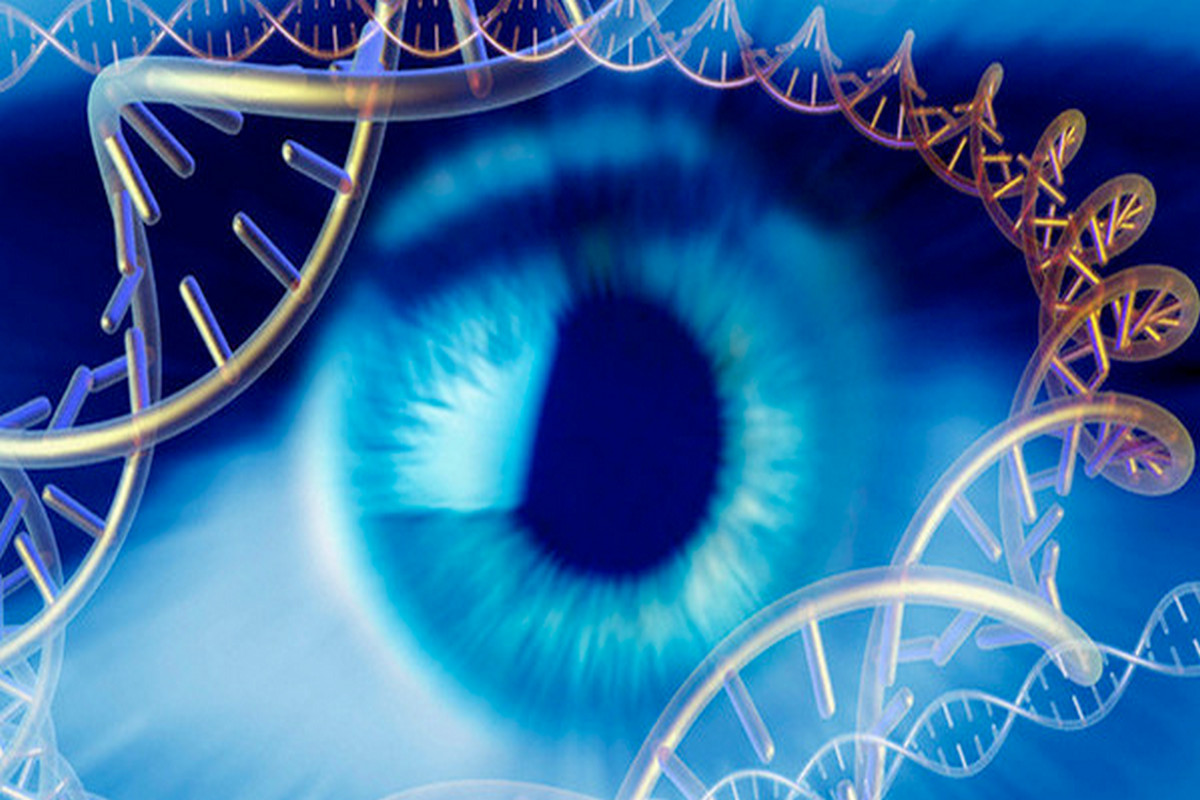 "Workshop: I 12 Strati del DNA - Gli Strati Multidimensionali"