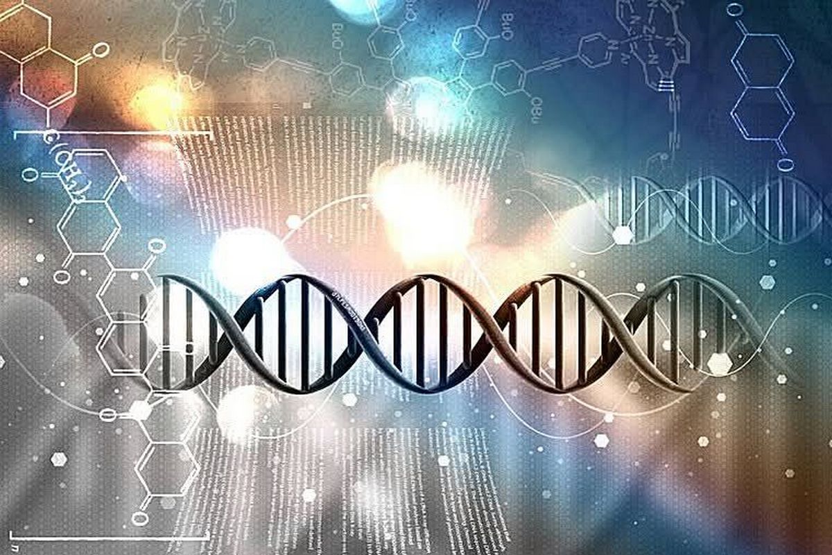 Workshop: "I 12 Strati del DNA - Gli Strati Multidimensionali"