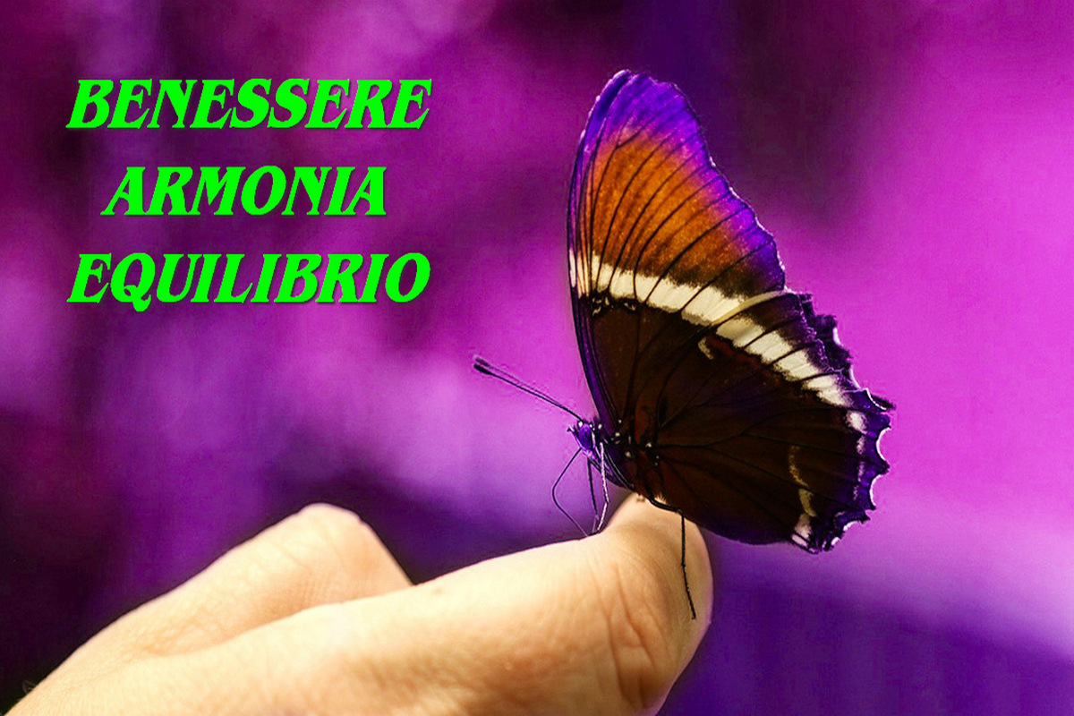 Conferenza Introduttiva: "Percorso di Riequilibrio Energetico"