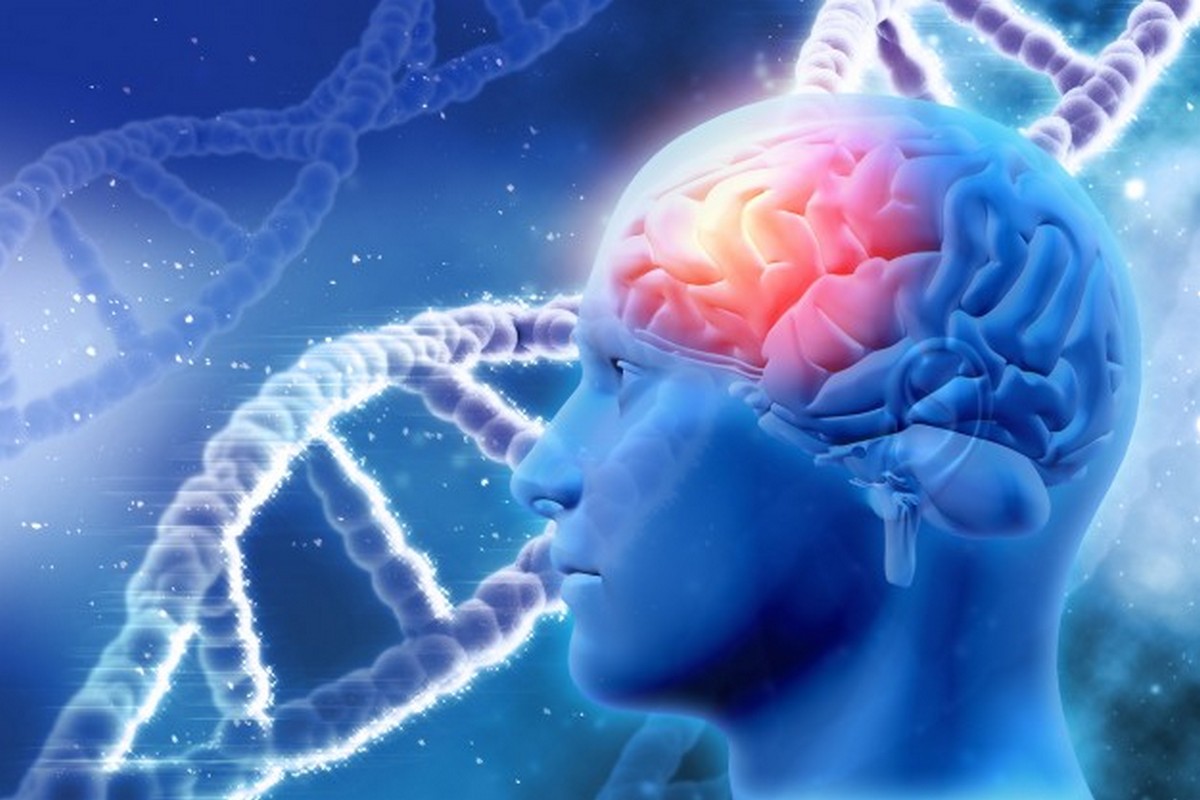 Workshop: "I 12 Strati del DNA - Gli Strati Multidimensionali"